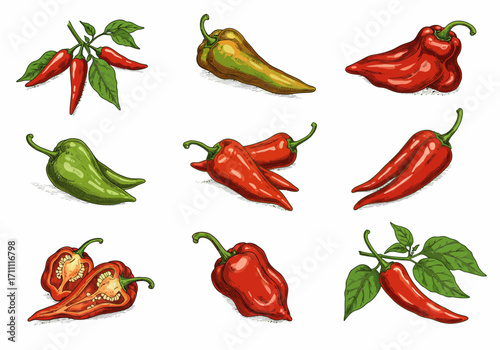 Colorful Pepper Variety Illustration with Detailed Hatching and Shading.