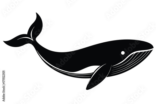 whale silhouette vector icon