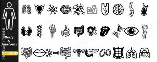 A collection of anatomical icons depicting various human body parts and organs.