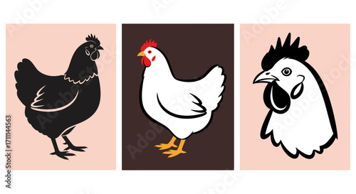 High-quality vector PNG images of chickens: a black hen, a white hen, and a rooster head, perfect for farm-related designs, poultry illustrations, or meat packaging.