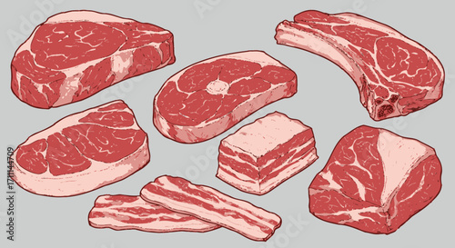 A diverse collection of raw meat cuts, including steaks, chops, and bacon strips, rendered in a clean vector illustration style on a neutral background.