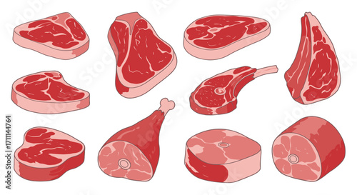 A vibrant vector illustration showcases a diverse selection of fresh meat cuts, perfect for culinary-themed designs and nutritional information graphics.