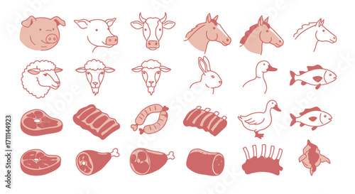 A vector illustration showcases a variety of meat sources, including pig, cow, horse, sheep, rabbit, duck, and fish, alongside different cuts and preparations of meat.