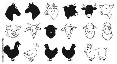 High-quality vector PNG icons of various farm animals, perfect for meat industry branding, educational materials, or culinary websites.  These detailed illustrations are versatile and easily