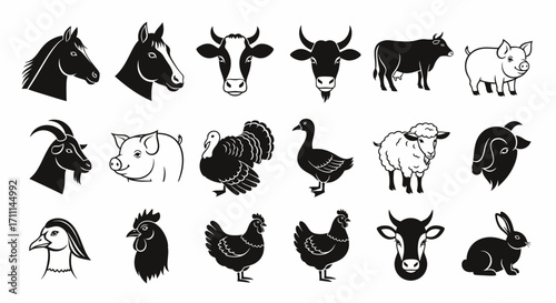 A collection of vector illustrations showcasing various livestock animals, including cows, pigs, horses, sheep, and poultry, presented in a clean, modern style for versatile use.