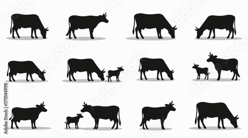 A vector collection with a variety of cow silhouettes grazing, standing, and interacting with calves, perfect for agricultural or livestock-themed designs and illustrations.