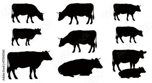 High-quality vector PNG illustrations of nine cows in various poses, perfect for farm themes, agriculture projects, and meat industry designs.  These versatile silhouettes are ideal for logos,