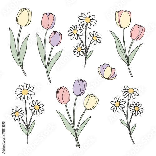 A collection handdrawn floral illustrations featuring tulips and daisies with pastel colors, isolated on a transparent background