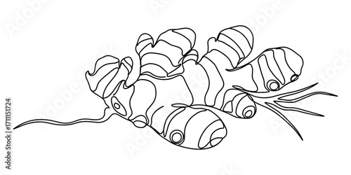 A Minimalist Black and White Illustration of Fresh Ginger Root with Natural Details