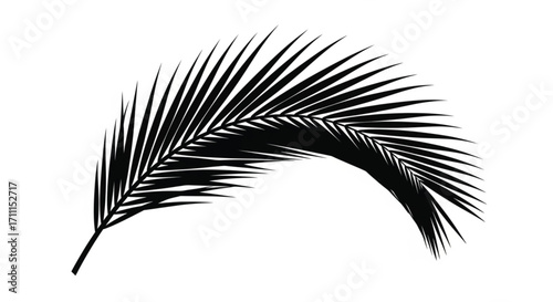 Elegant black palm frond silhouette curving gracefully against a white background.