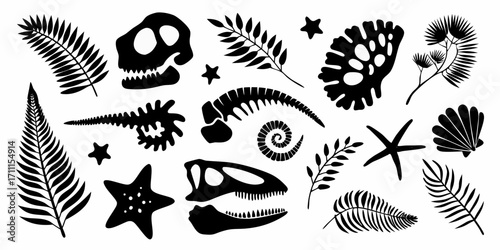 Collection of black silhouettes of dinosaur skulls fossilized bones shells starfish and fern leaves on a white background