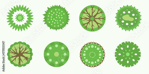 Collection of stylized green trees viewed from above in a top down perspective