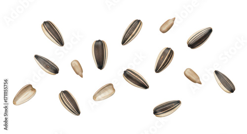 Scattered Sunflower Seeds On Black