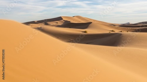 Expansive Golden Sand Dunes in a Vast Desert Landscape.