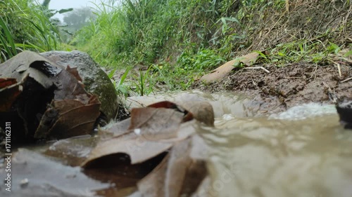 Tranquil Water Flow: A serene close-up of gentle water stream meandering through a rustic earthen channel, bordered by verdant foliage and dappled with fallen leaves.
