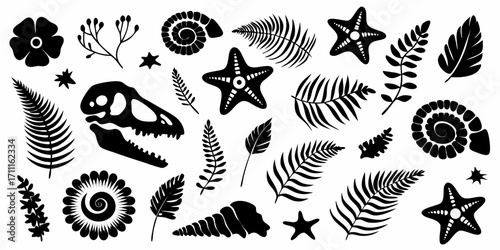 Collection of black silhouette prehistoric fossils and flora including dinosaur skull ammonites starfish and fern leaves