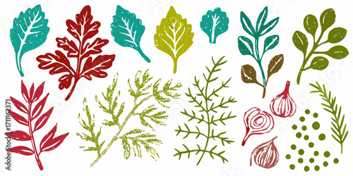 Collection of hand drawn linocut style botanical elements and vegetables on white background