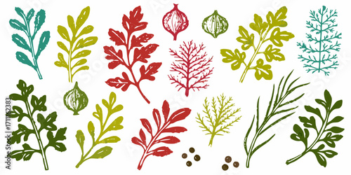 Collection of hand drawn botanical illustrations of herbs spices and vegetables in vibrant colors