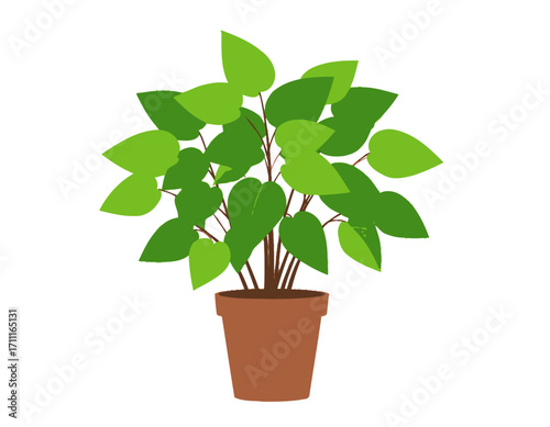 Vibrant Green Leafy Houseplant in Terracotta Pot Vector Illustration