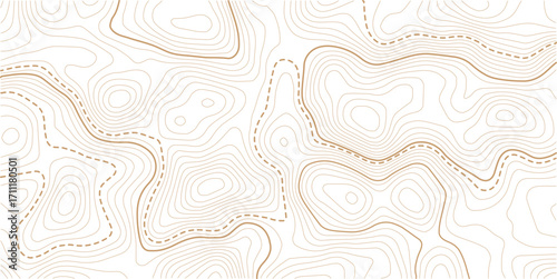 The topo contour or wallpaper. Mountain trail terrain or path. Vector illustration. Topographic gold luxury map background. Geographic abstract pattern.