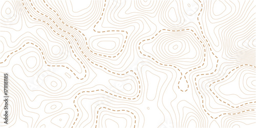 Vector geographic contour mounted map background. Abstract minimal The patter discovery vector topo map. white background 