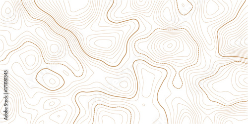 Topographic gold luxury map background. Geographic abstract pattern. The topo contour or wallpaper