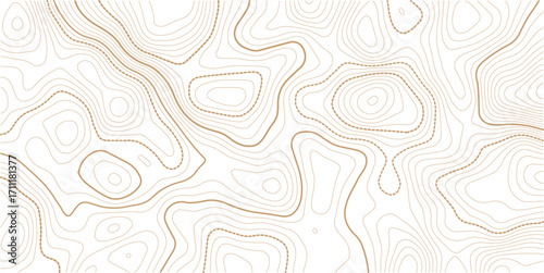 Topographic gold luxury map background. Geographic abstract pattern. The topo contour or wallpaper
