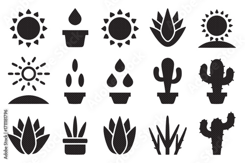 Cactus and succulent icons, depicting various potted plants, sun symbols, and aloe vera designs
