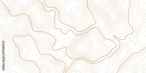Transparent PNG available Topographic map, grid, texture, relief contour of terrain. Vector pattern background with mountains and flat land wavy line contours. Use for template, wallpaper, web.