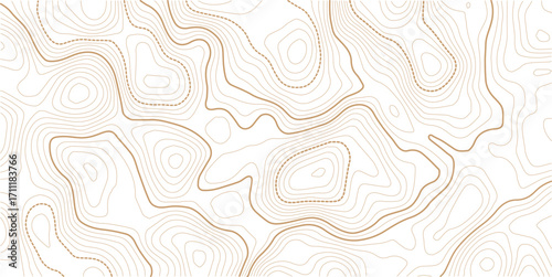 Transparent PNG available Topographic map, grid, texture, relief contour of terrain. Vector pattern background with mountains and flat land wavy line contours. Use for template, wallpaper, web.
