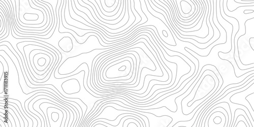 The gray on white contours topography stylized relief diagram line wave carve pattern background
