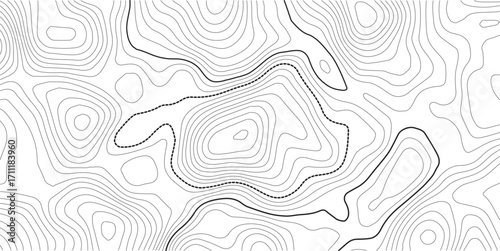 The gray on white contours topography stylized relief diagram line wave carve pattern background