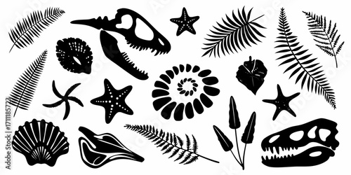 Collection of black silhouette prehistoric fossils and plants including dinosaur skulls starfish ammonites and ferns