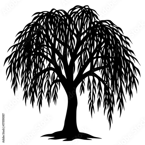 Stylized black and white illustration of a weeping willow tree design