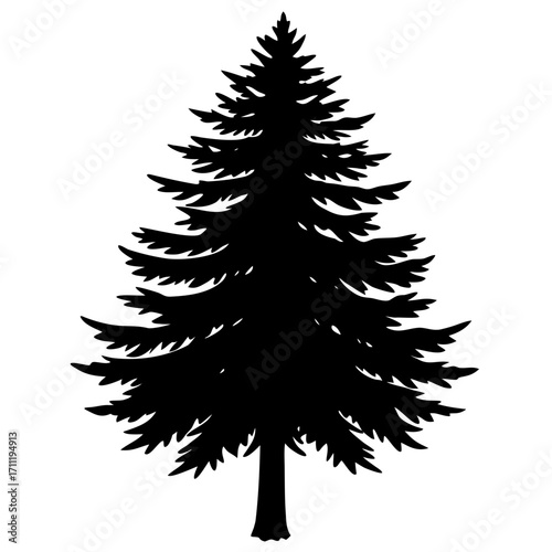 Simple black silhouette of a coniferous evergreen tree on white background
