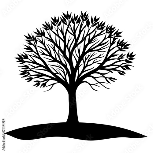 Simple black and white illustration of a tree with lush foliage