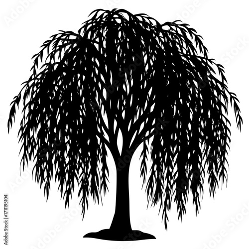 A solitary weeping willow tree silhouetted against a bright white background