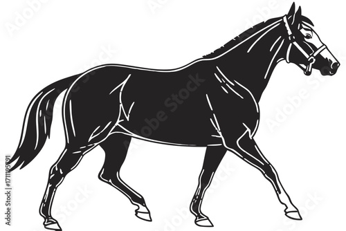 Horse Silhouette – Realistic Vector Illustration, Side View, Isolated on Transparent Background