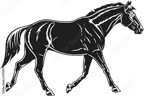 Horse Silhouette – Realistic Vector Illustration, Side View, Isolated on Transparent Background