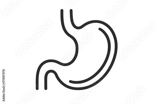 Stomach icon linear style. Human organ for digestion. Gastroenterology, digestive system health symbol. Anatomy vector illustration. Medical design element. Gastrointestinal tract.