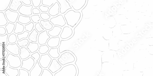 Abstract organic cell pattern with subtle textured background in monochrome white and gray tones