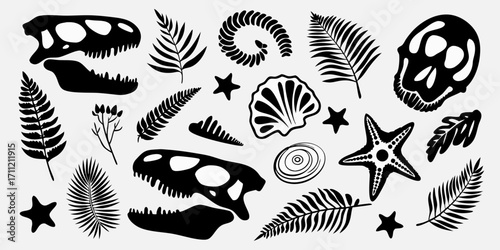 Collection of black silhouette prehistoric fossils and plant elements including dinosaur skulls and fern leaves
