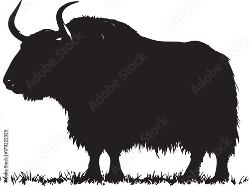 Majestic yak silhouette grazing on grass, wild nature