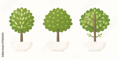 Three stylized potted trees with green foliage and brown trunks on a white background
