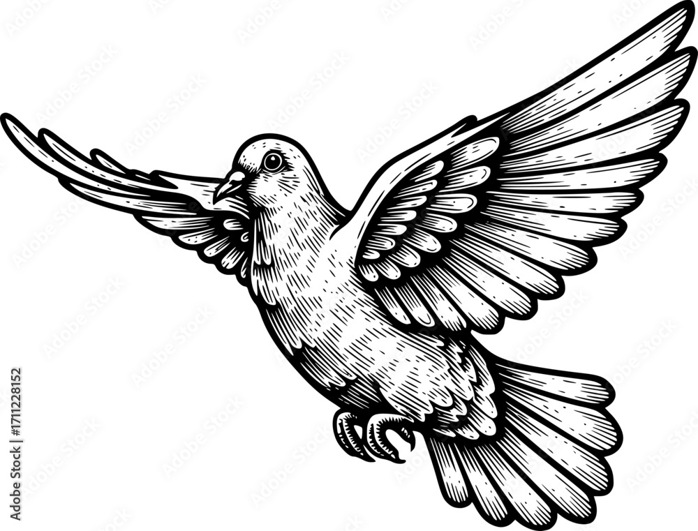 Obraz premium dove flying engraving black and white outline. Scratch board imitation. 