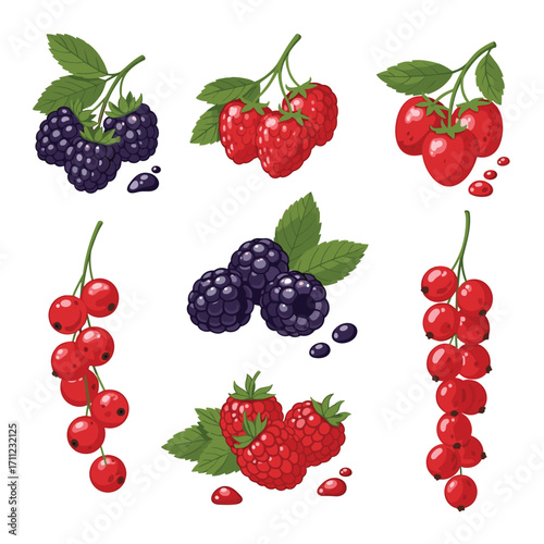 Assortment of fresh summer berries including strawberries raspberries blackberries and red currants