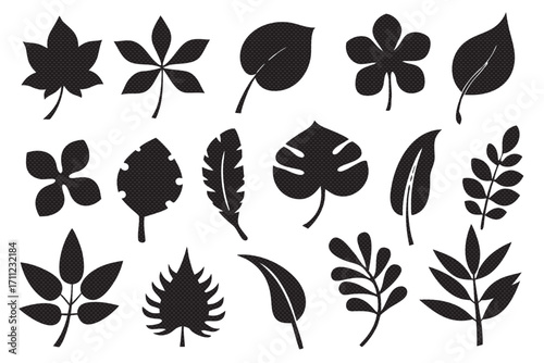 Collection of diverse leaves, showcasing various shapes and sizes in a sleek black silhouette design