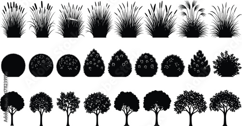 Black plant silhouette set, vector garden elements, landscape design, ornamental grass, shrub and tree icons, isolated on white background, nature illustration