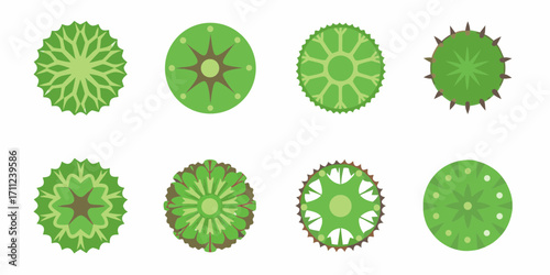 Collection of stylized green cactus and succulent plants viewed from above in a top down perspective