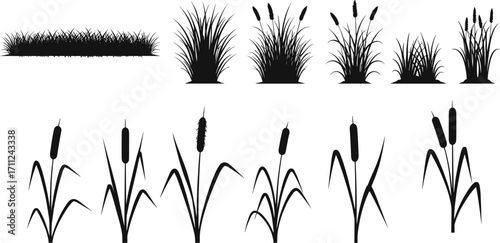 Black Silhouette Set of Reeds and Grass, Vector Nature Elements, Landscape Design, Botanical Icons, Wetland Plants, Garden Decor, Wild Vegetation, Natural Backgrounds